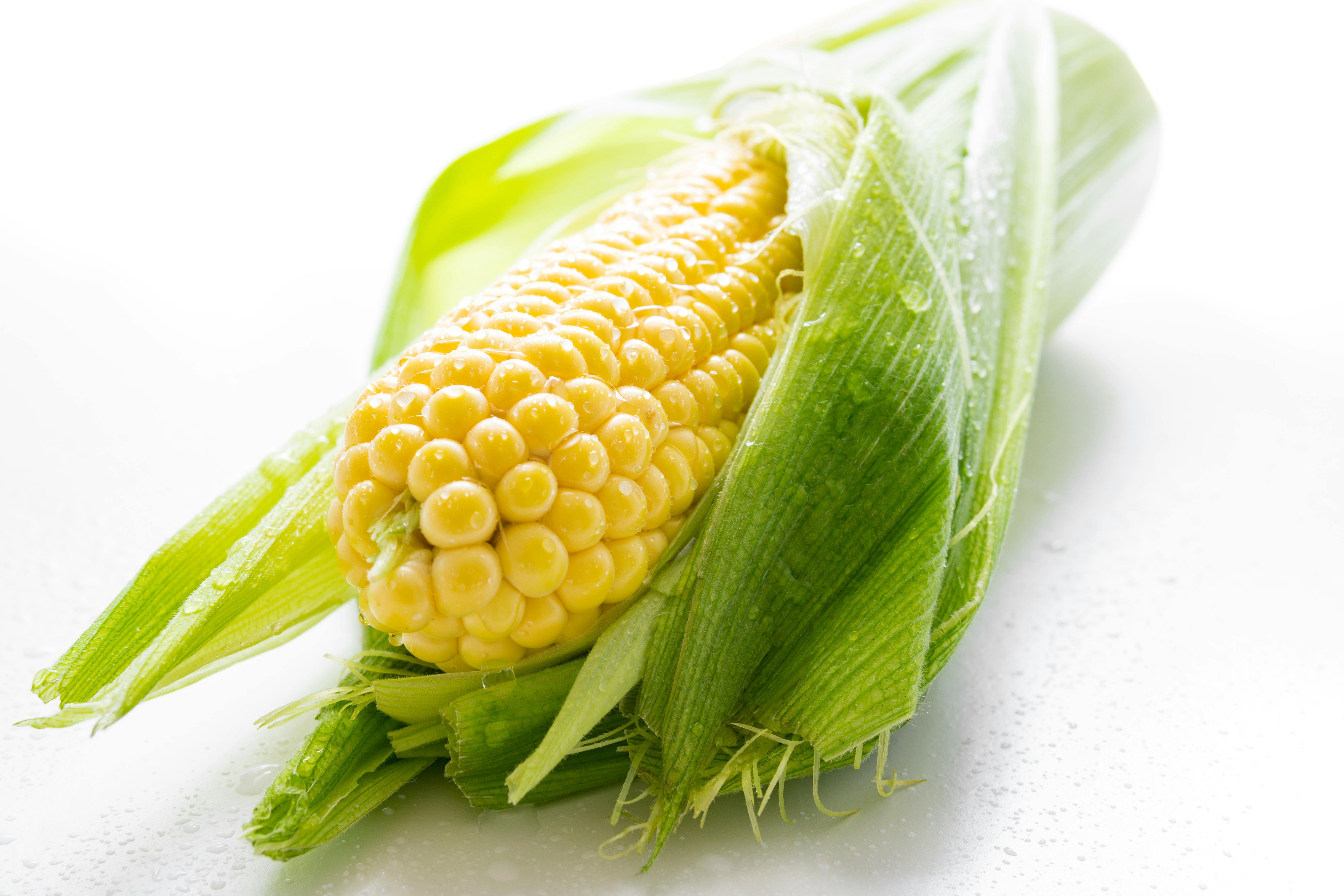 Maize